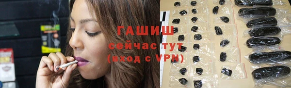крисы Алзамай