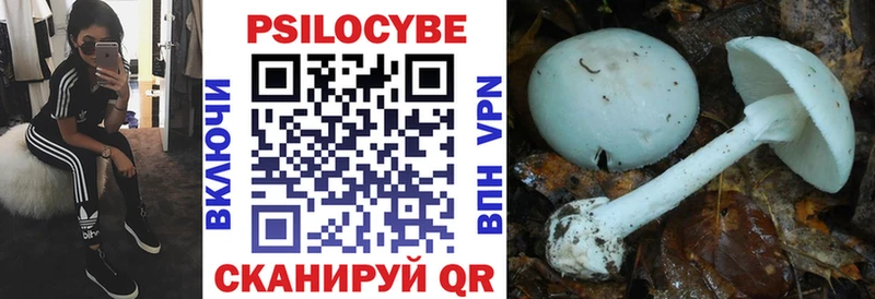 Галлюциногенные грибы ЛСД Циолковский